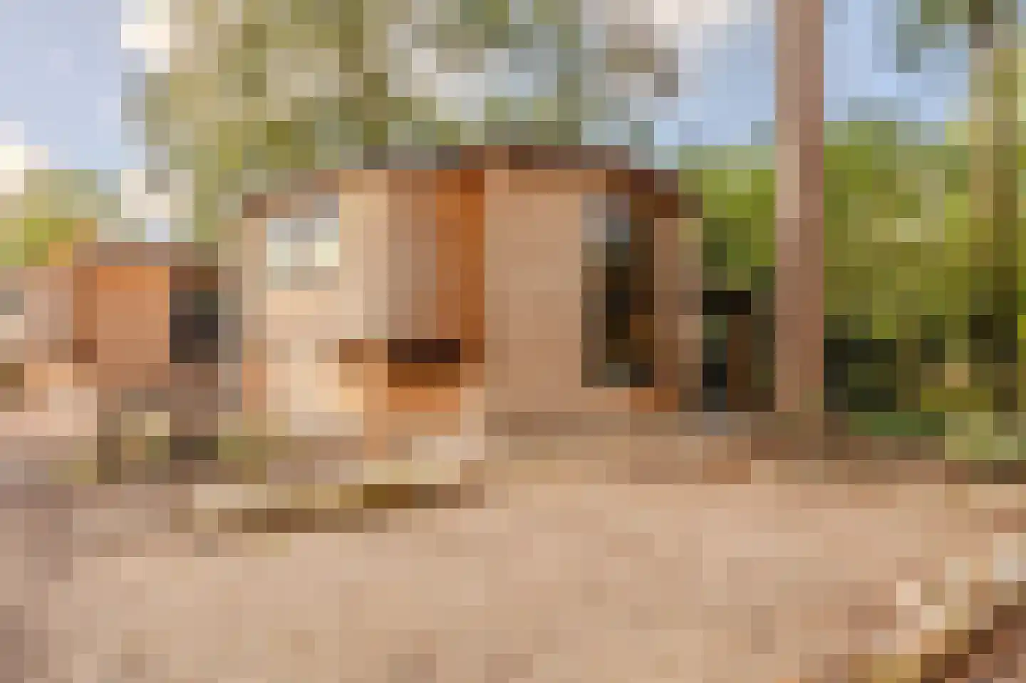 Laan van Laag Kanje 1 Maarn foto 3