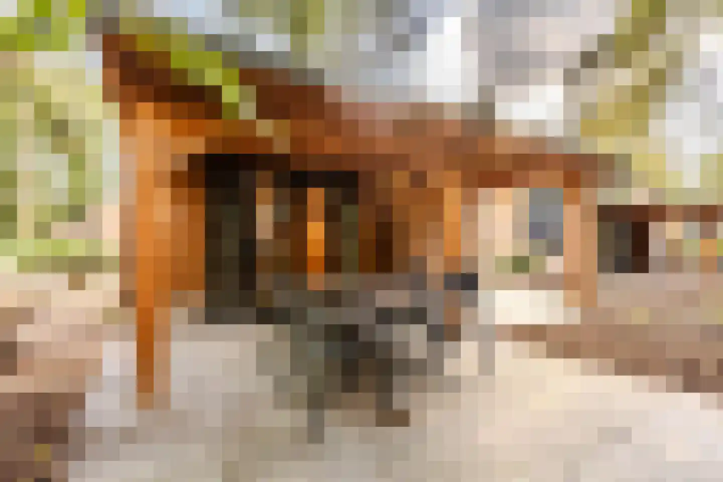 Laan van Laag Kanje 1 Maarn thumbnail 4