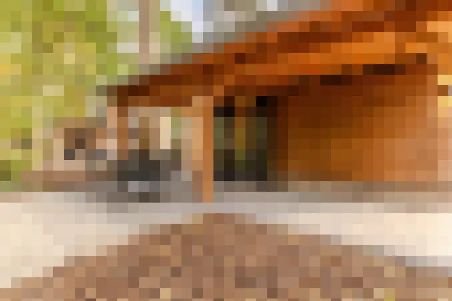 Laan van Laag Kanje 1 Maarn thumbnail 5
