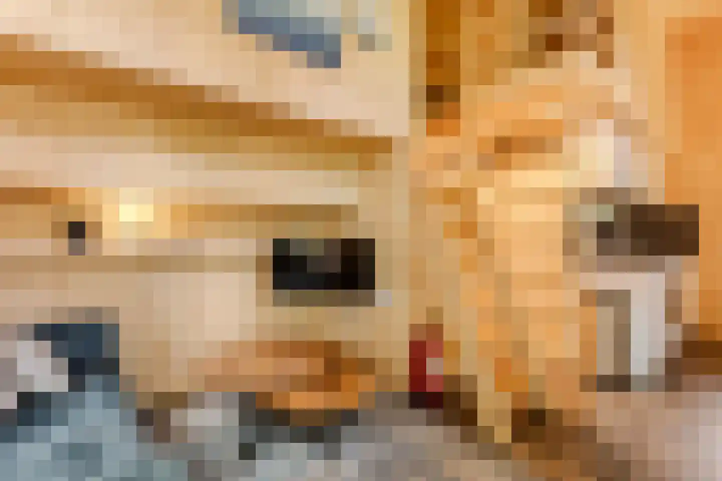 Laan van Laag Kanje 1 Maarn thumbnail 8
