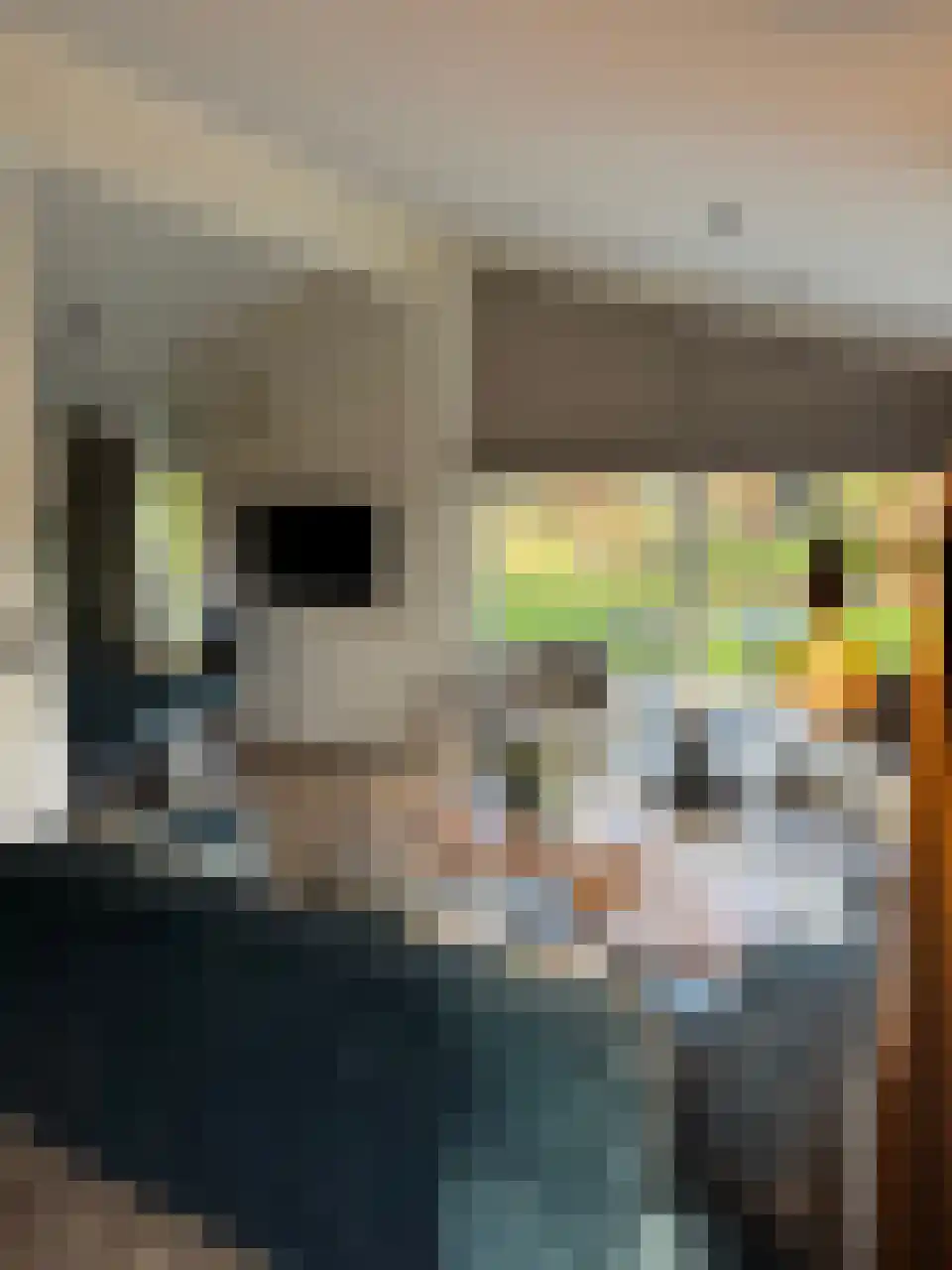 Laan van Laag Kanje 1 r 050 Maarn thumbnail 11