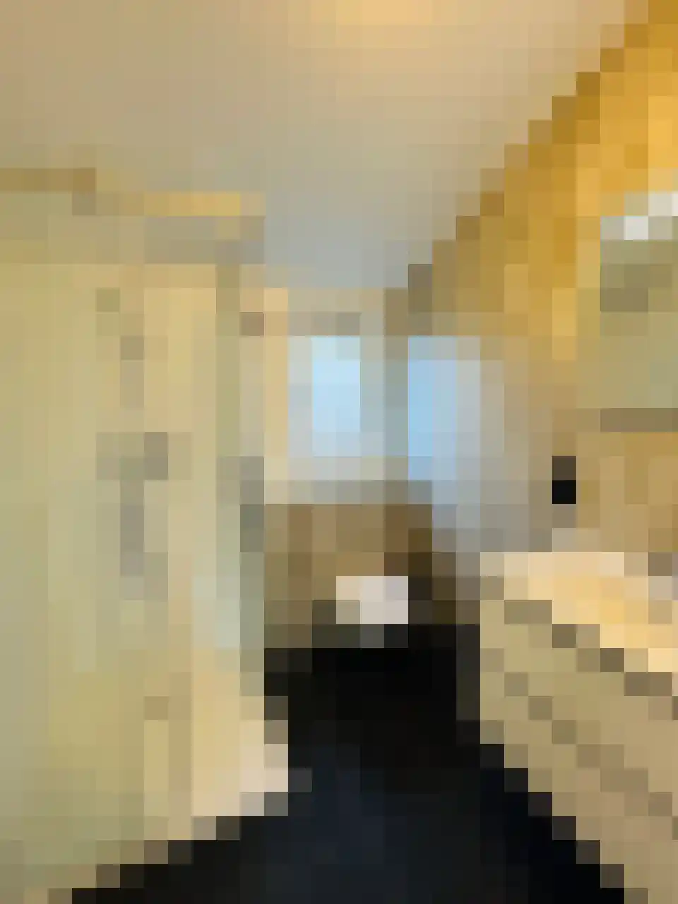 Laan van Laag Kanje 1 r 050 Maarn thumbnail 13