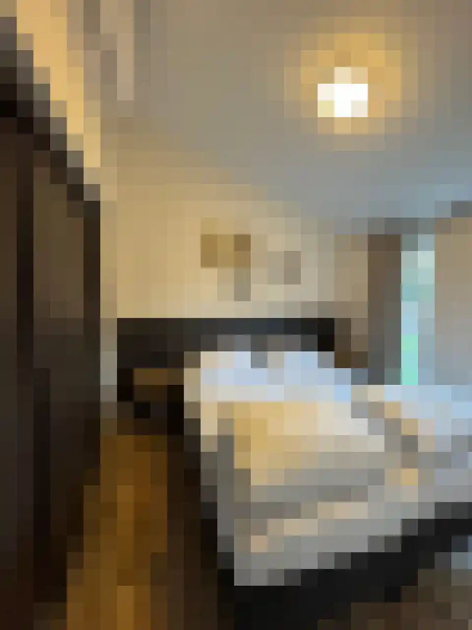 Laan van Laag Kanje 1 r 050 Maarn thumbnail 15