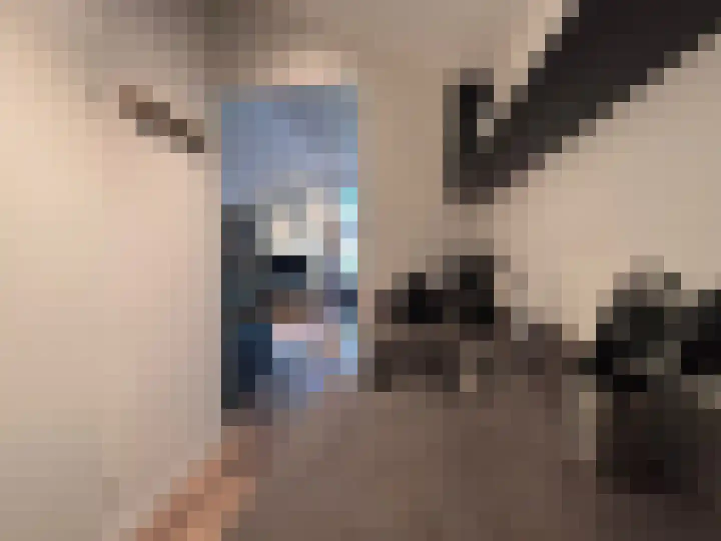 Laan van Laag Kanje 1 r 156 Maarn thumbnail 9