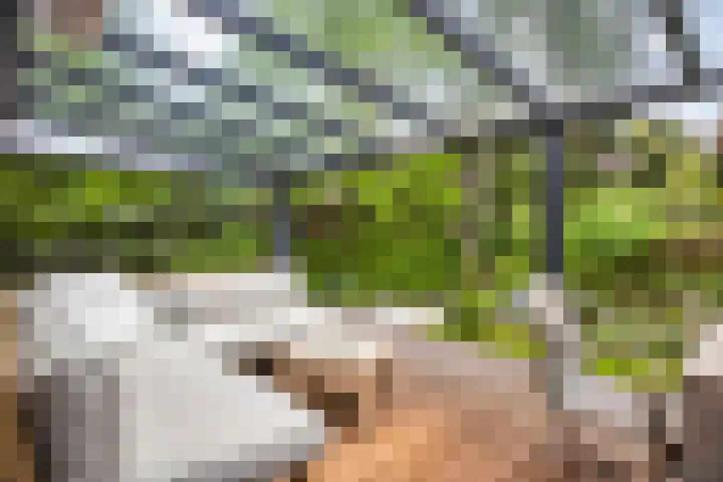 Laan van Laag Kanje 1 r 2307 Maarn thumbnail 34