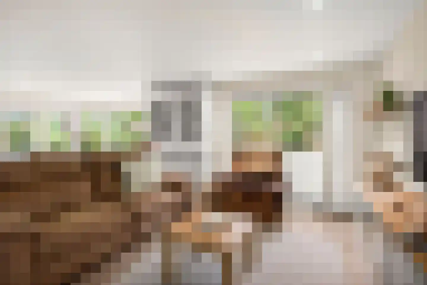 Laan van Laag Kanje 1 r 2307 Maarn thumbnail 9