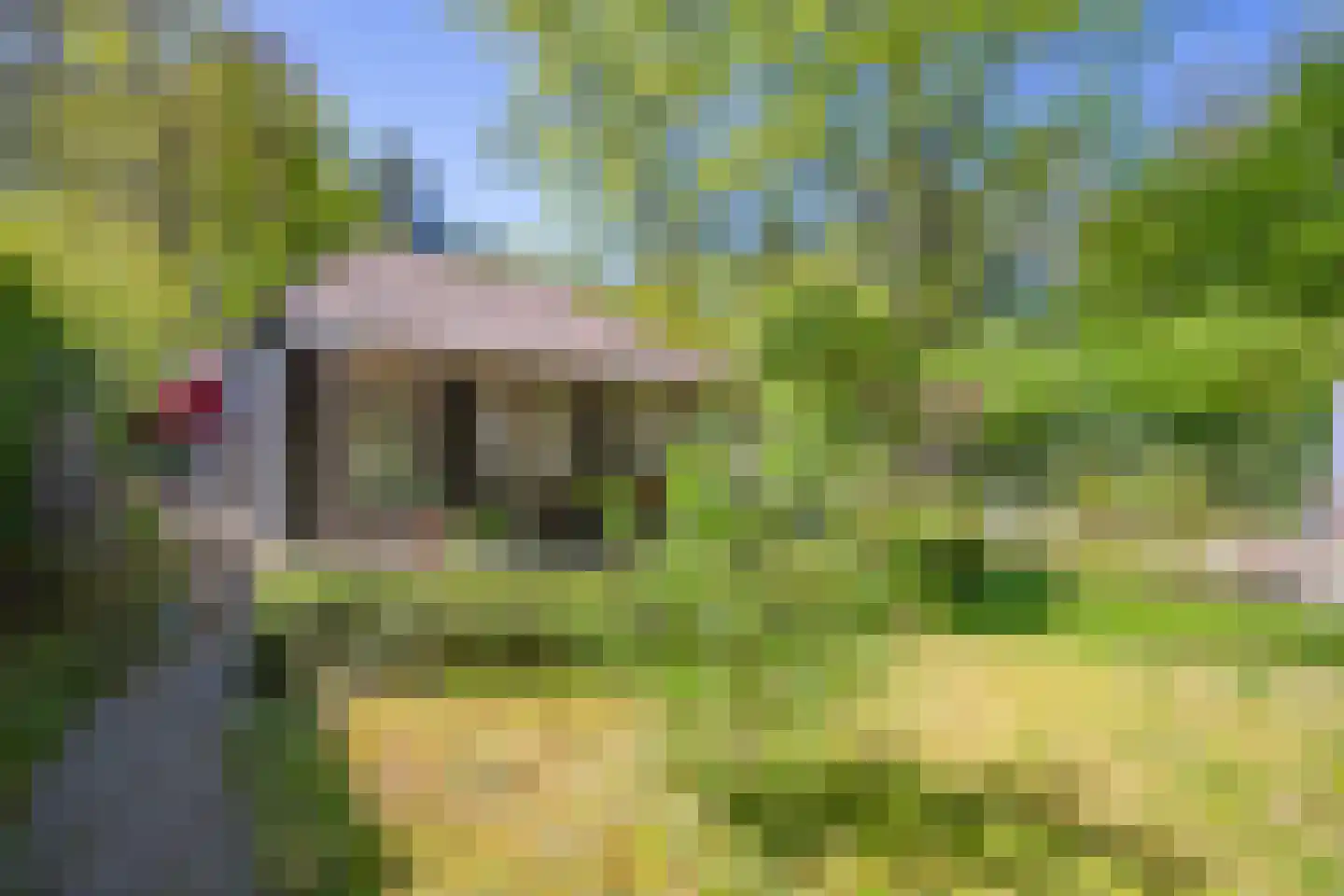 Laan van Laag Kanje 1 r 2401 Maarn thumbnail 23