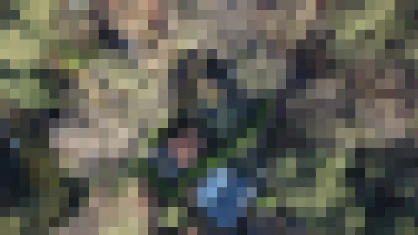 Laan van Laag Kanje 1 r 2401 Maarn thumbnail 30
