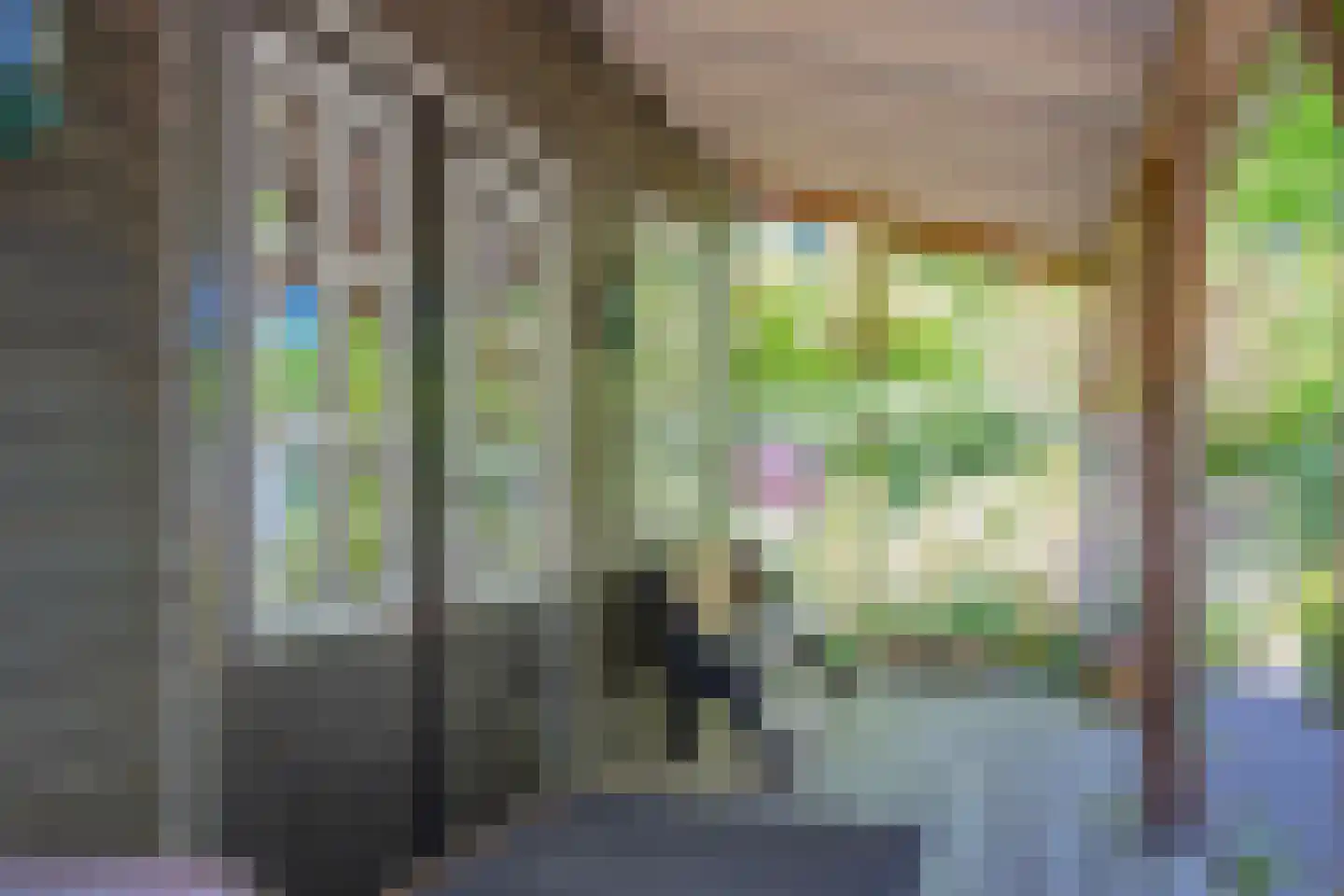 Laan van Laag Kanje 1 r 2401 Maarn thumbnail 6