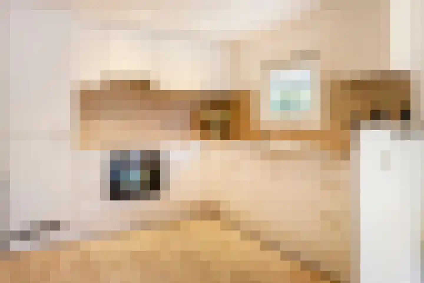 Laan van Laag Kanje 1 r 2402 Maarn thumbnail 10