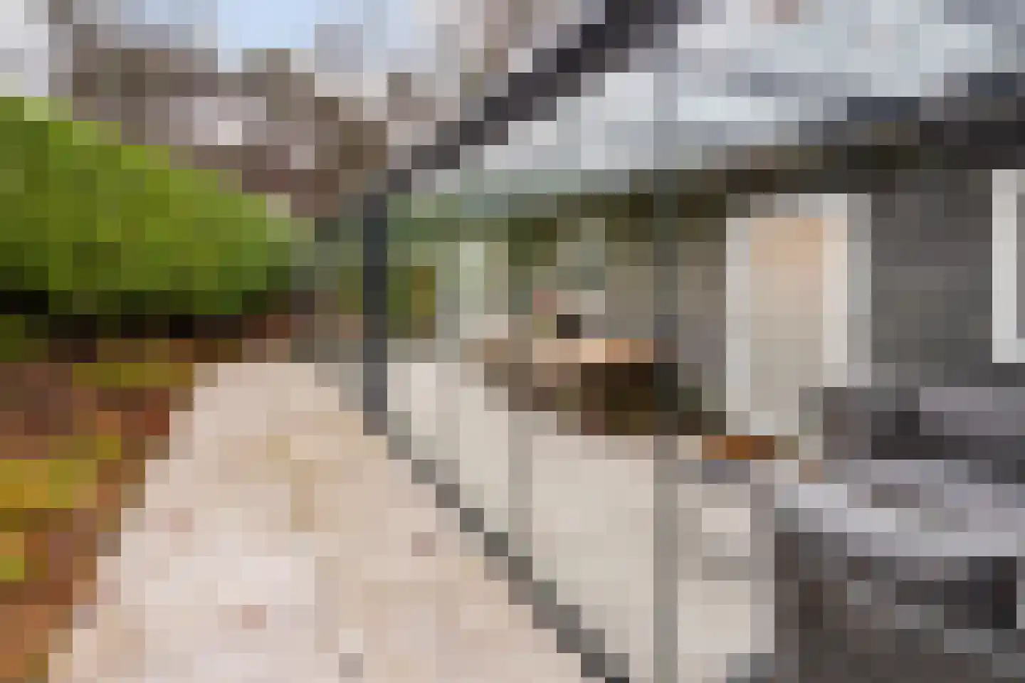 Laan van Laag Kanje 1 r 2402 Maarn thumbnail 19