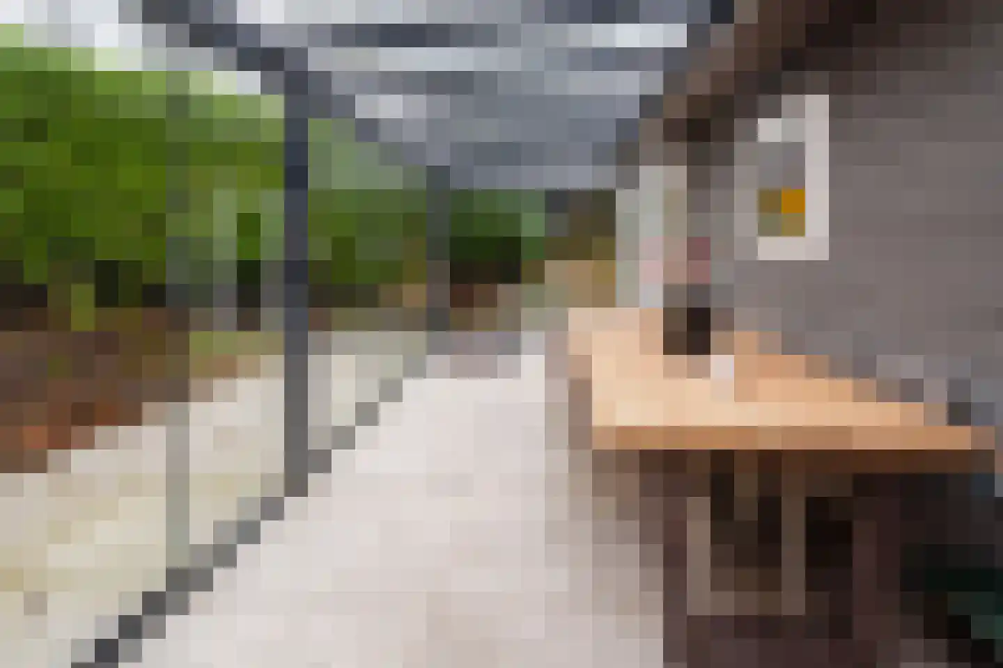 Laan van Laag Kanje 1 r 2402 Maarn thumbnail 20