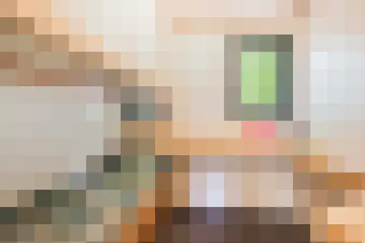 Laan van Laag Kanje 1 r 2417 Maarn thumbnail 10