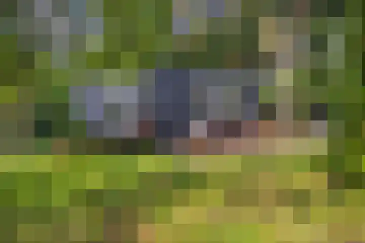 Laan van Laag Kanje 1 r 2417 Maarn thumbnail 12
