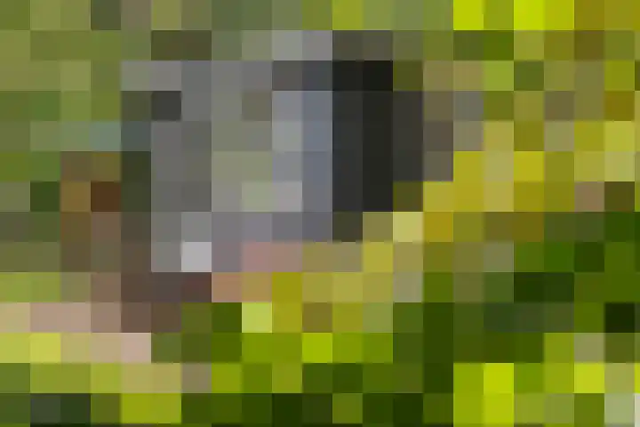 Laan van Laag Kanje 1 r 2417 Maarn thumbnail 13