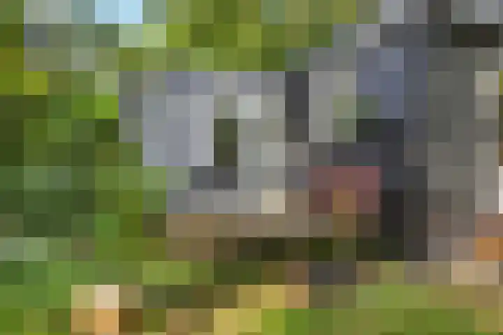 Laan van Laag Kanje 1 r 2417 Maarn thumbnail 14