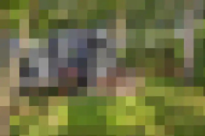 Laan van Laag Kanje 1 r 2417 Maarn thumbnail 15