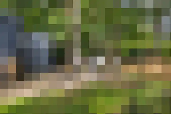 Laan van Laag Kanje 1 r 2417 Maarn thumbnail 16