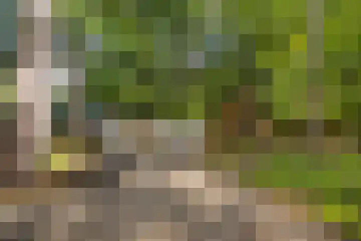 Laan van Laag Kanje 1 r 2417 Maarn thumbnail 18