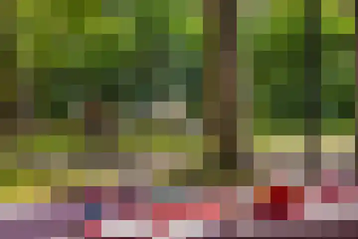Laan van Laag Kanje 1 r 2417 Maarn thumbnail 19