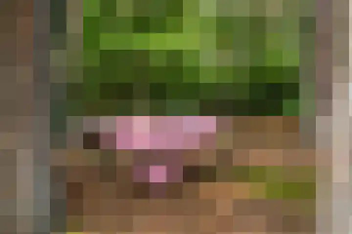 Laan van Laag Kanje 1 r 2417 Maarn thumbnail 20