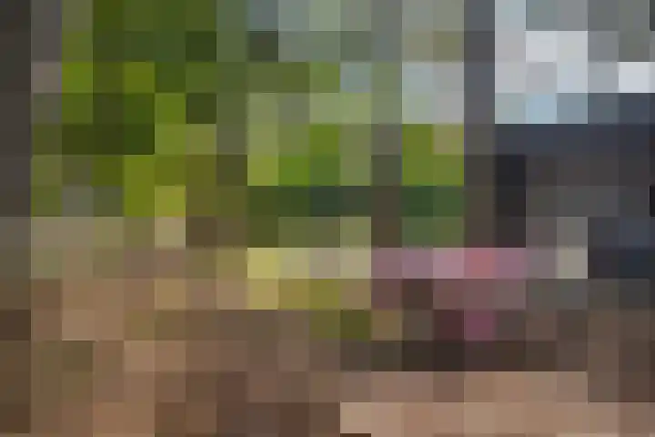Laan van Laag Kanje 1 r 2417 Maarn thumbnail 21