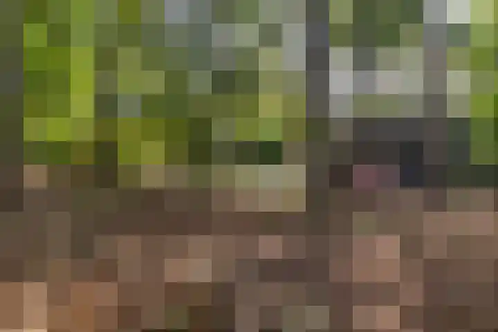 Laan van Laag Kanje 1 r 2417 Maarn thumbnail 22