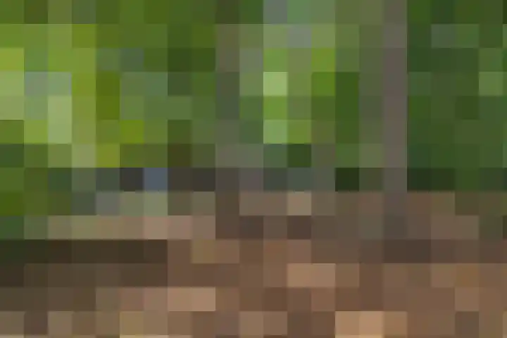 Laan van Laag Kanje 1 r 2417 Maarn thumbnail 23