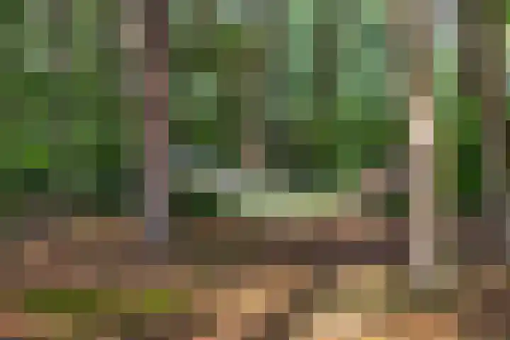 Laan van Laag Kanje 1 r 2417 Maarn thumbnail 24