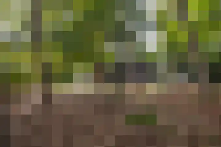 Laan van Laag Kanje 1 r 2417 Maarn thumbnail 25