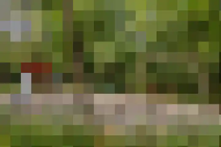 Laan van Laag Kanje 1 r 2417 Maarn thumbnail 26