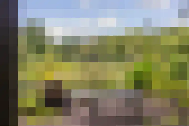 Laan van Laag Kanje 1 r 2417 Maarn thumbnail 27