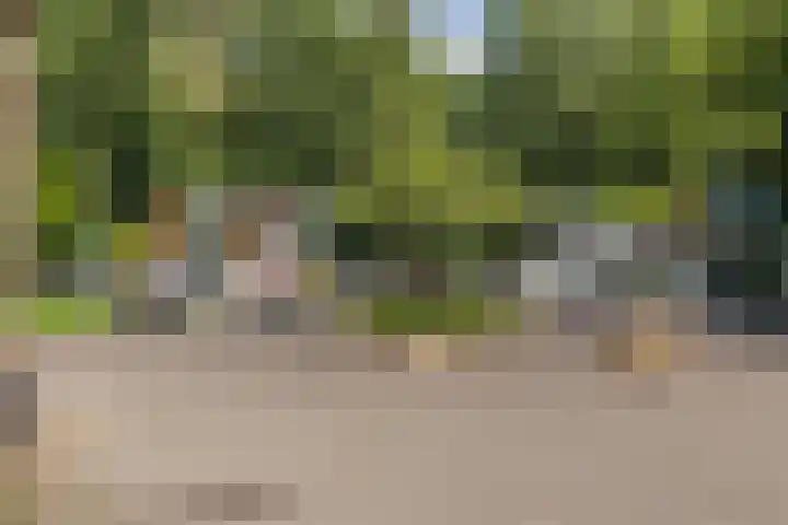 Laan van Laag Kanje 1 r 2417 Maarn thumbnail 28
