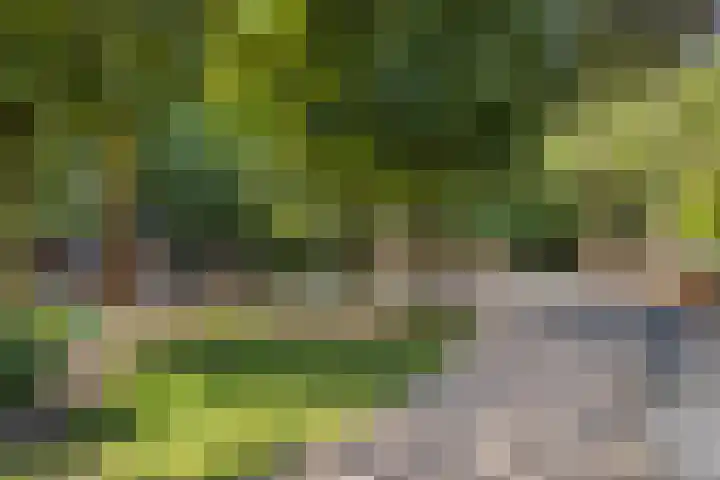 Laan van Laag Kanje 1 r 2417 Maarn thumbnail 29