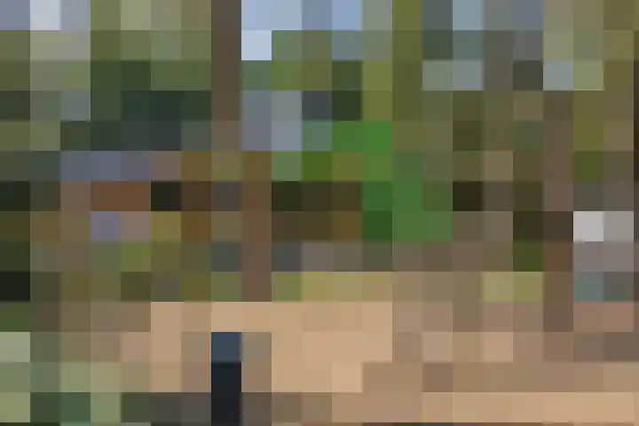 Laan van Laag Kanje 1 r 2417 Maarn thumbnail 30