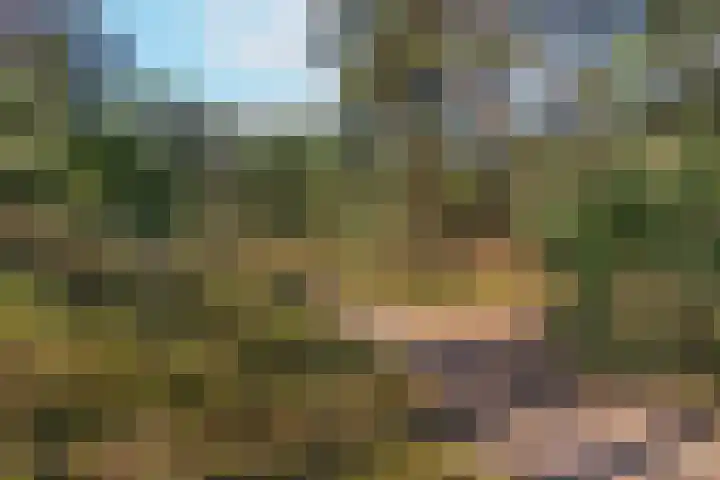 Laan van Laag Kanje 1 r 2417 Maarn thumbnail 32