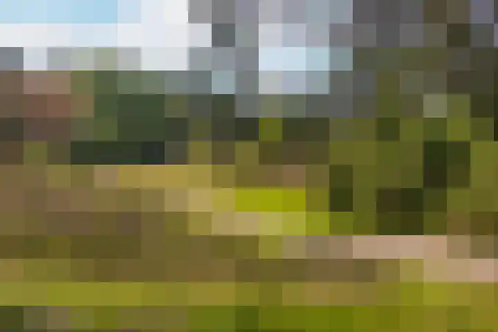 Laan van Laag Kanje 1 r 2417 Maarn thumbnail 33