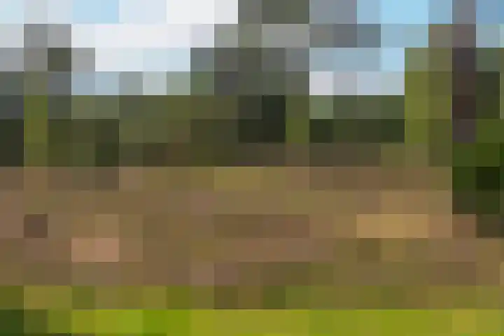 Laan van Laag Kanje 1 r 2417 Maarn thumbnail 34
