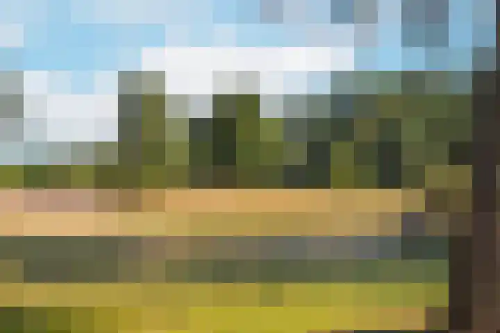 Laan van Laag Kanje 1 r 2417 Maarn thumbnail 35