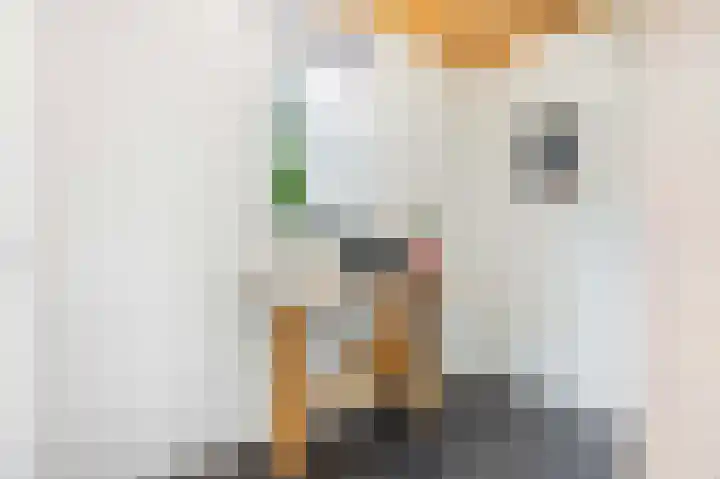 Laan van Laag Kanje 1 r 2417 Maarn thumbnail 8