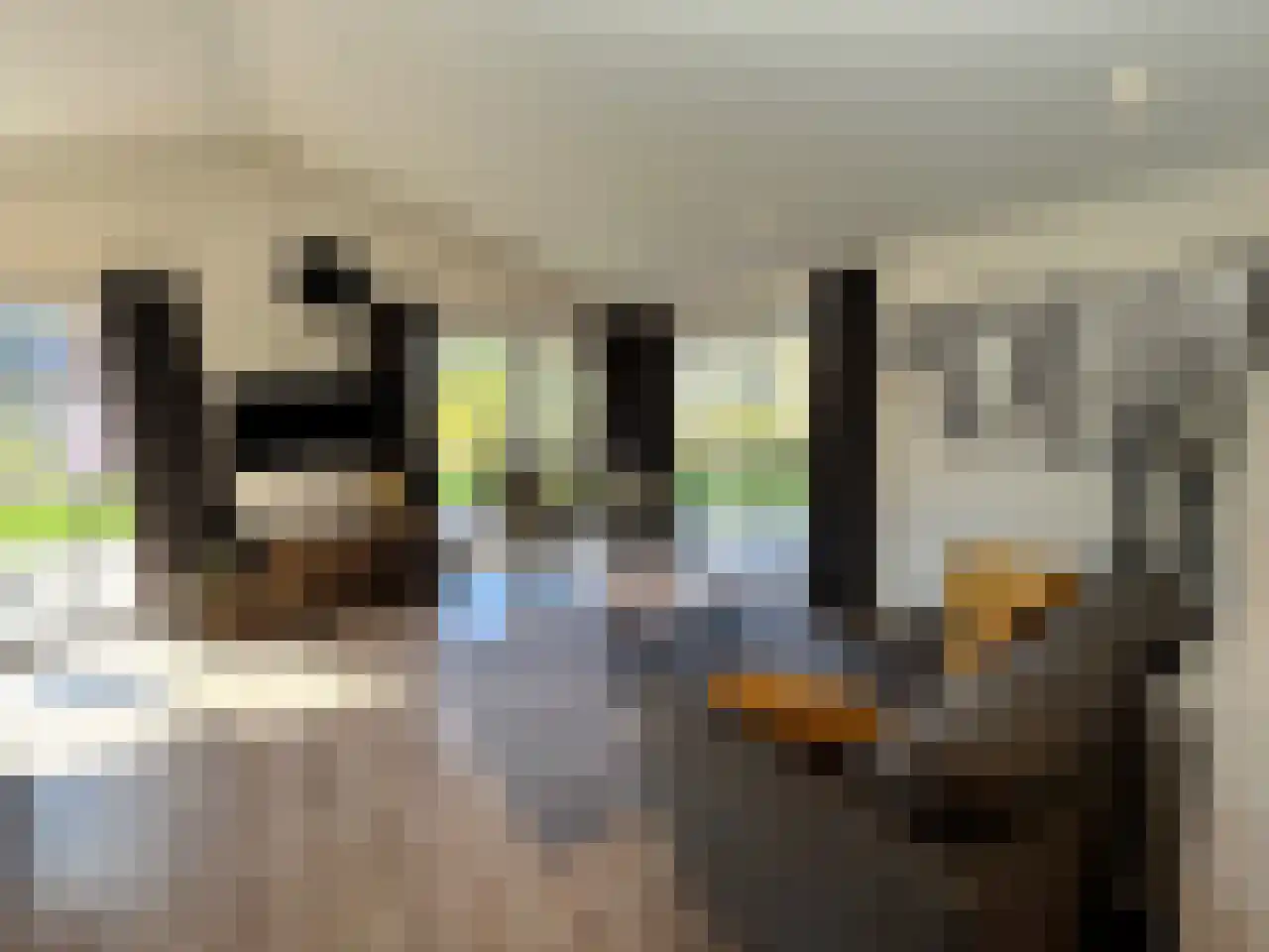 Laan van Laag Kanje 1 r 2435 Maarn thumbnail 10