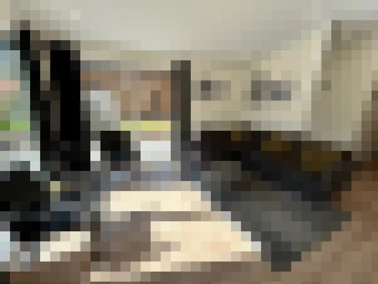 Laan van Laag Kanje 1 r 2435 Maarn thumbnail 10