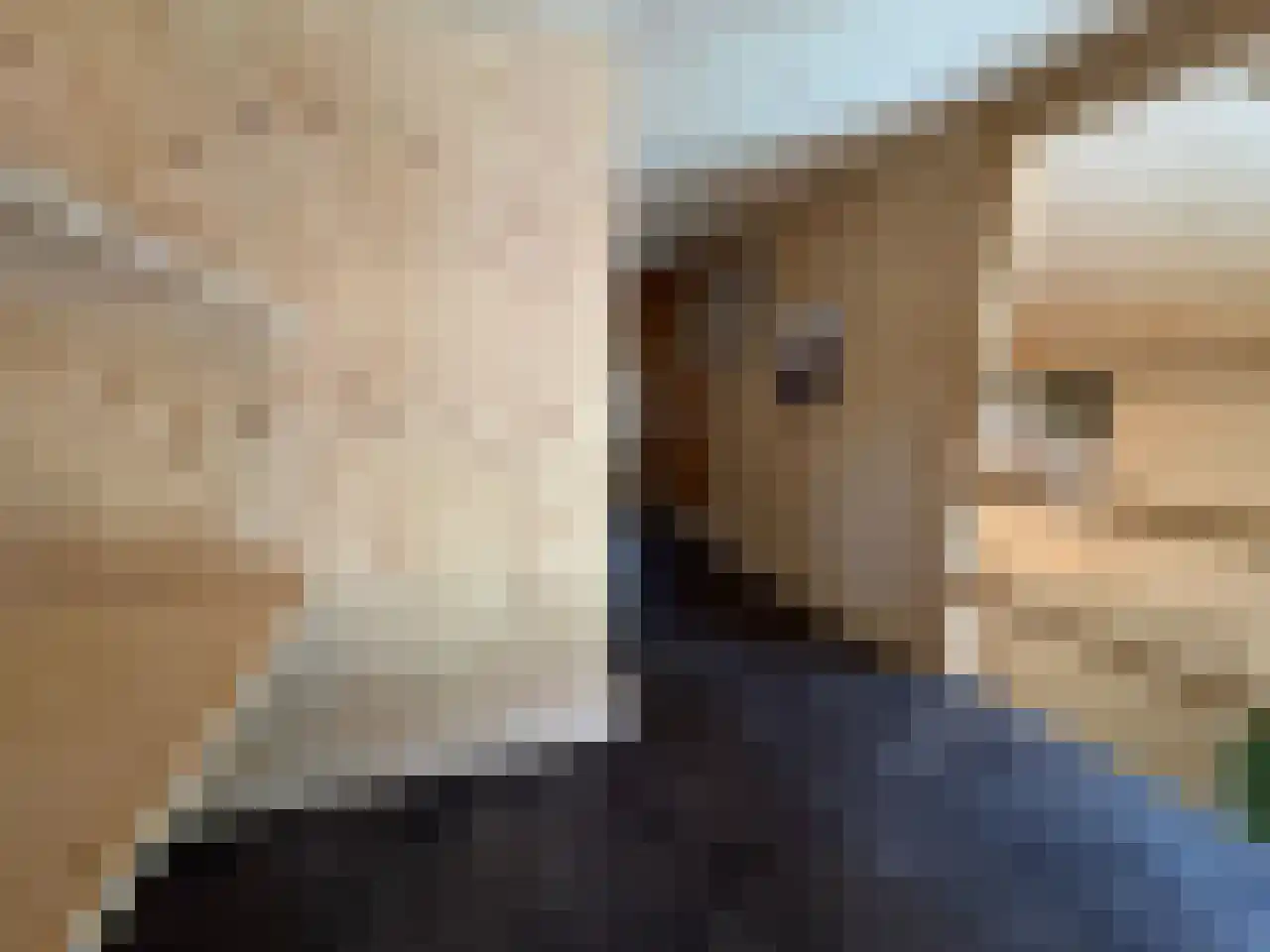 Laan van Laag Kanje 1 r 2435 Maarn thumbnail 10