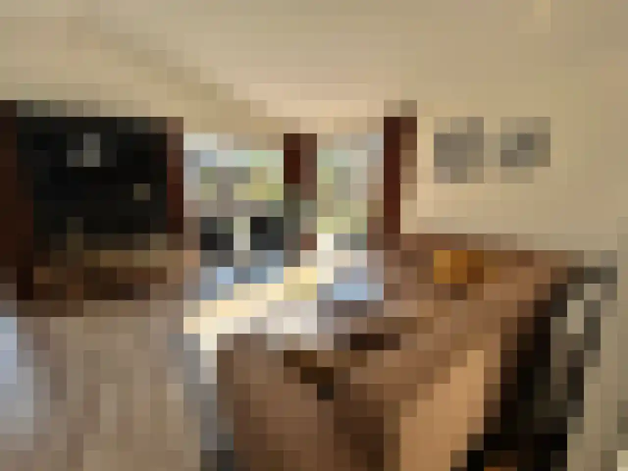 Laan van Laag Kanje 1 r 2435 Maarn thumbnail 10