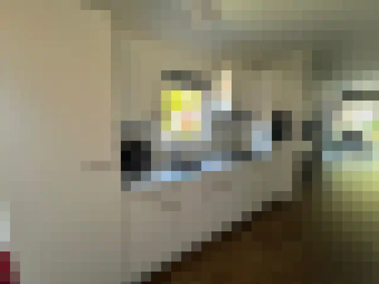 Laan van Laag Kanje 1 r 2435 Maarn thumbnail 11