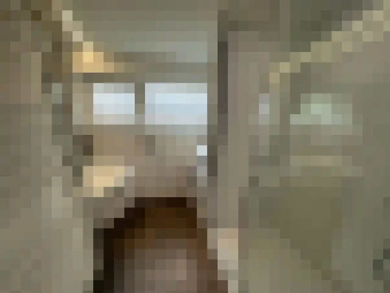 Laan van Laag Kanje 1 r 2435 Maarn thumbnail 11