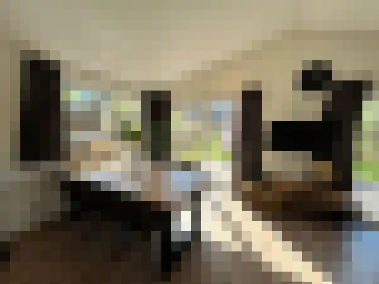 Laan van Laag Kanje 1 r 2435 Maarn thumbnail 11