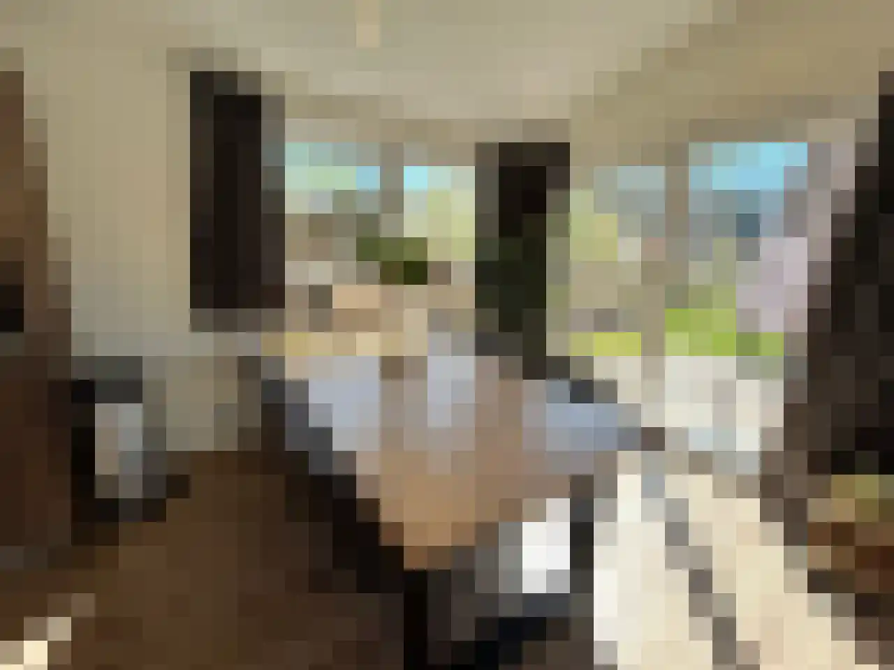 Laan van Laag Kanje 1 r 2435 Maarn thumbnail 12