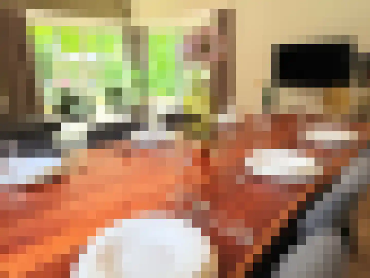 Laan van Laag Kanje 1 r 2435 Maarn thumbnail 12