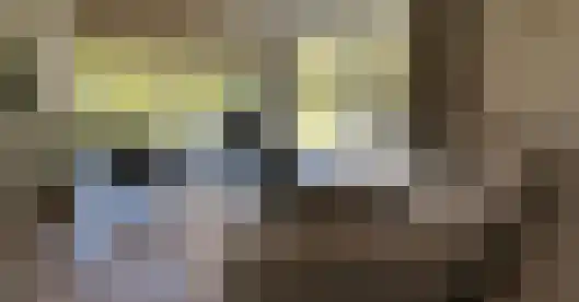 Laan van Laag Kanje 1 r 2435 Maarn thumbnail 12